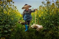 勤劳的‘八零’后