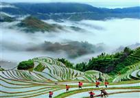 瑶家山寨