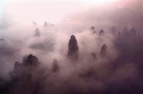 天子山