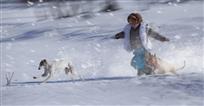 飞雪追踪