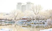 瑞雪兆丰年