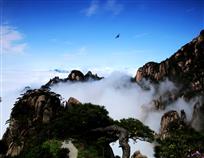 鹰击长空