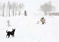 风雪路归人
