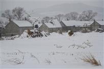 瑞雪圆归梦