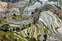 锦绣大地