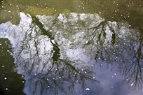 【3】水中覌梅。