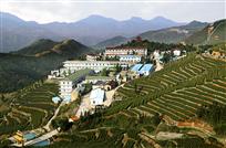 【1】勾靑茶叶之乡---羊岩。