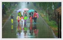 《小雨中的记忆》