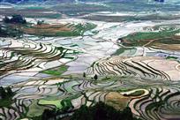 田园春光