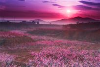 霞映桃花沟