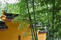 祝福（竹佛）