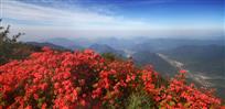 春到五龙山