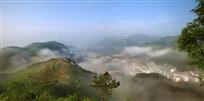 茶香出幽境，轻纱绕山城