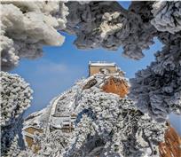 银龙接天际，素妆金兰山