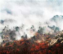 大别山秋色 (2)