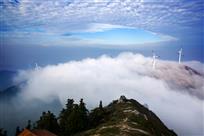 仙居顶云雾