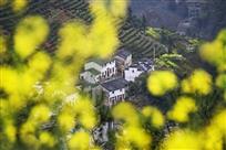 在那遥远的小山村