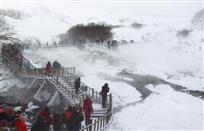 风雪无阻