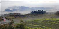 青山远黛画中游
