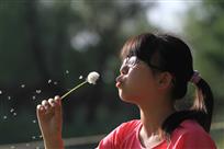 少女与蒲公英