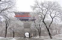 飞雪迎春