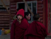 《藏教新人》