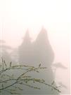 雨露
