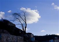 《古城独克宗明天会更好》