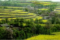 山村风光