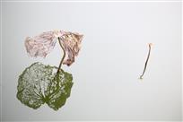 残荷