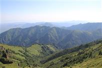 大山深处