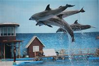 海洋馆