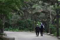 《相伴》
