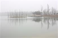 静静地尚湖