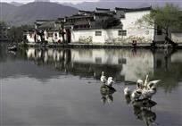 静静的南湖