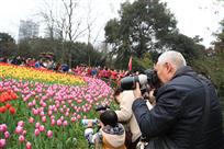 大人们都在玩单反，我也学习求进步