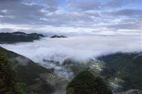 大山深处春无限