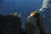 一缕阳光