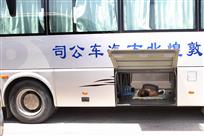 午休