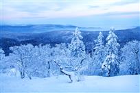 林海雪原