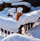 雪乡角落