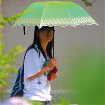 莘莘学子