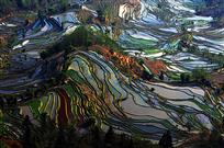 大地调色板