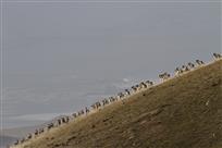 共同关注