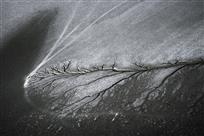滩涂“刺青”