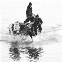 赶海