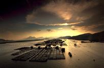 经济航母