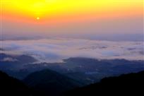 云雾茶山晨韵