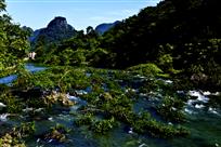 水中林