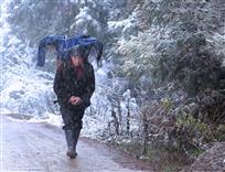 风雪回家路